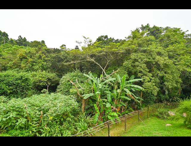 1 BEDROOM SIMPLEX FOR SALE IN THE WOLDS